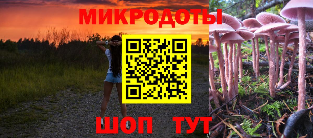 Псилоцибиновые грибы мицелий  Вход с VPN  Галлюциногенные грибы мухоморы  Кольчугино 