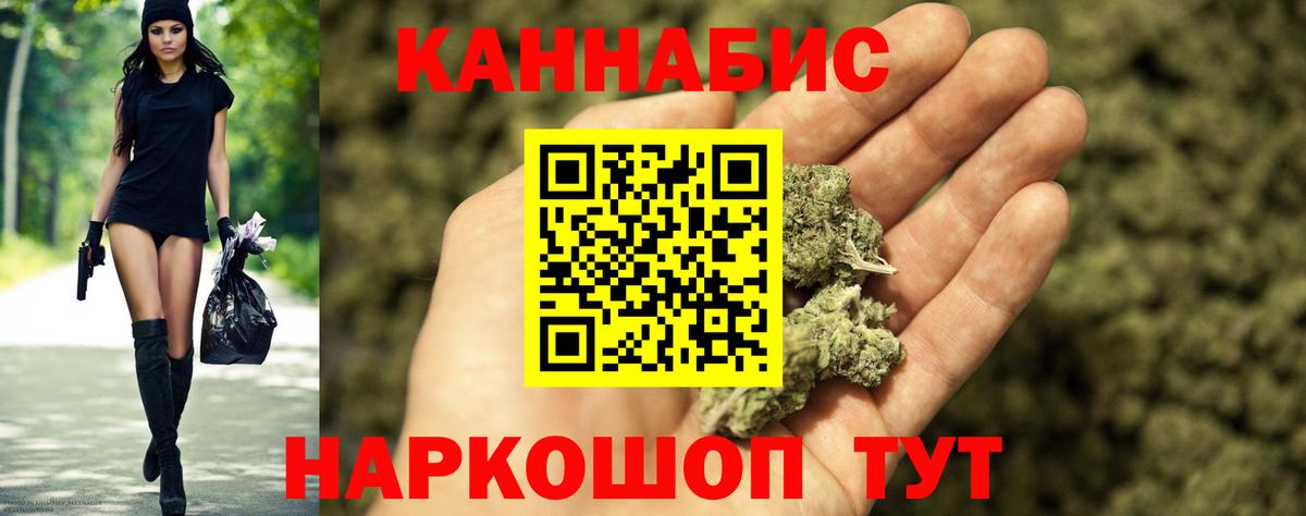 ГАШ Кольчугино